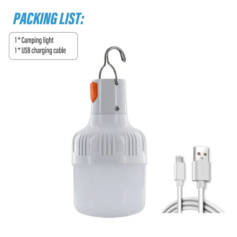 USB LED Bulb – Rechargeable & Portable